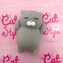 espichable_gato gris